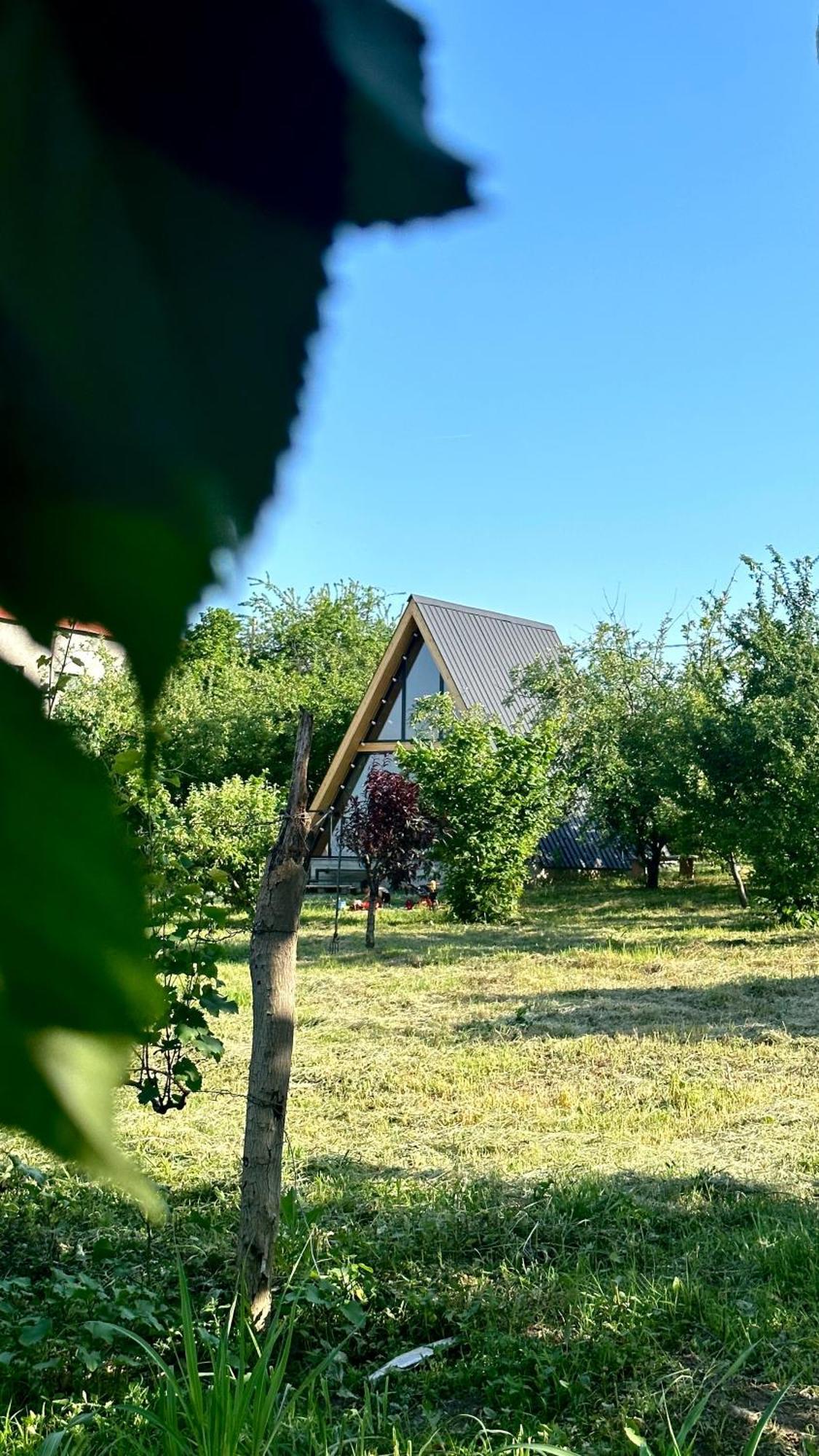 Villa Tsinandali Exterior foto